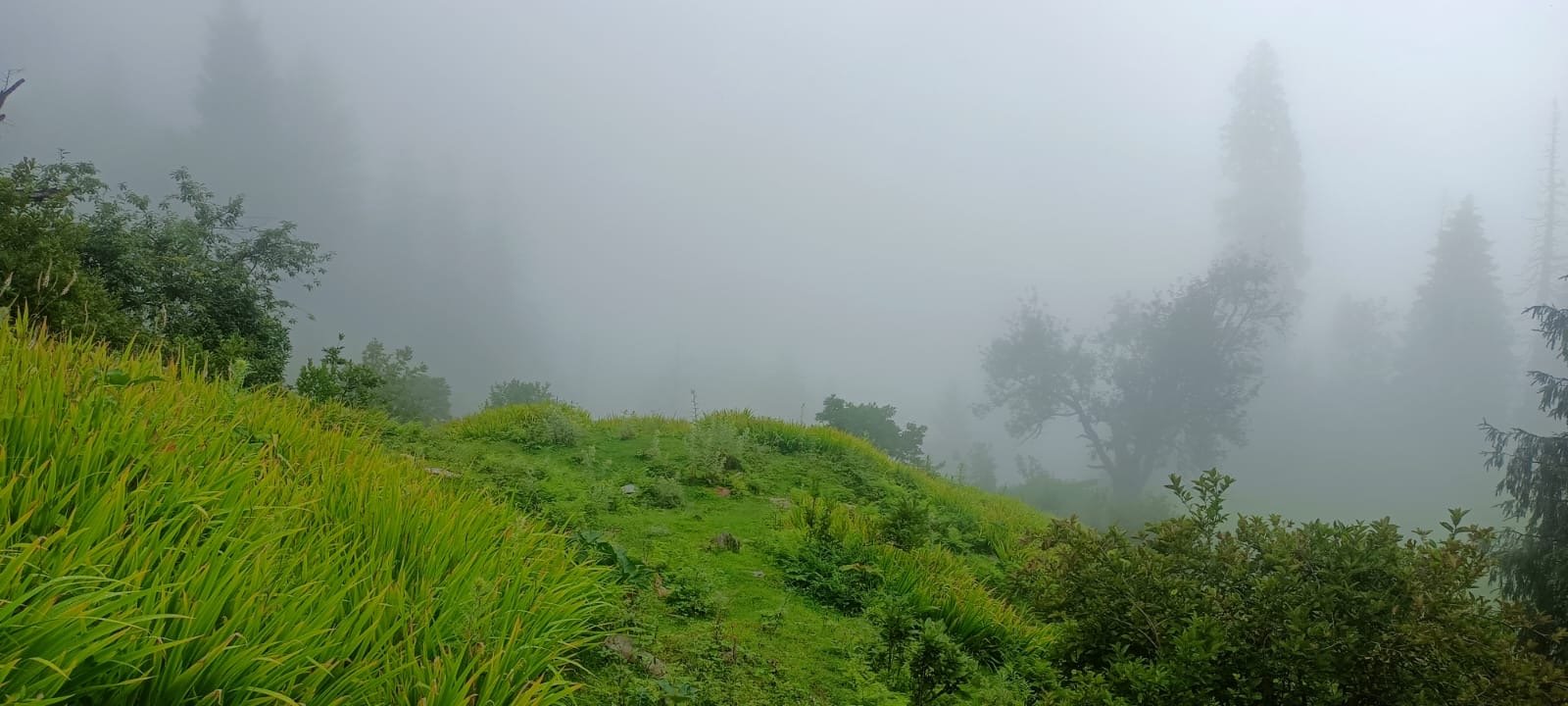 9ece7f68-fdfb-45ae-b476-d4ed47eefc0f