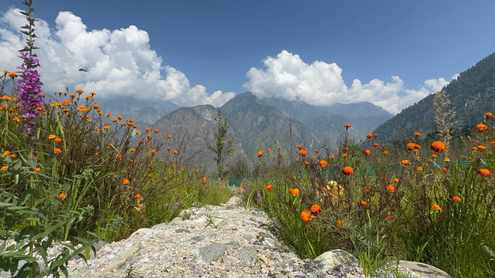 WhatsApp Image 2025-09-30 at 3.33.20 PM