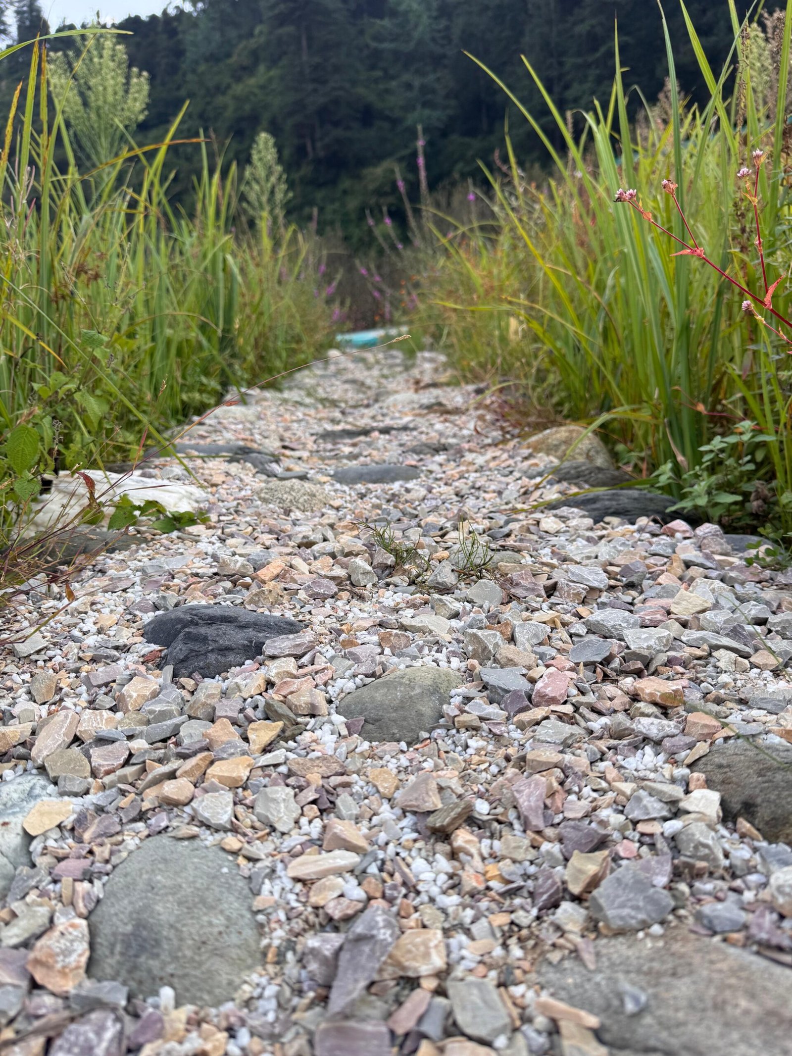 WhatsApp Image 2025-09-30 at 3.33.22 PM