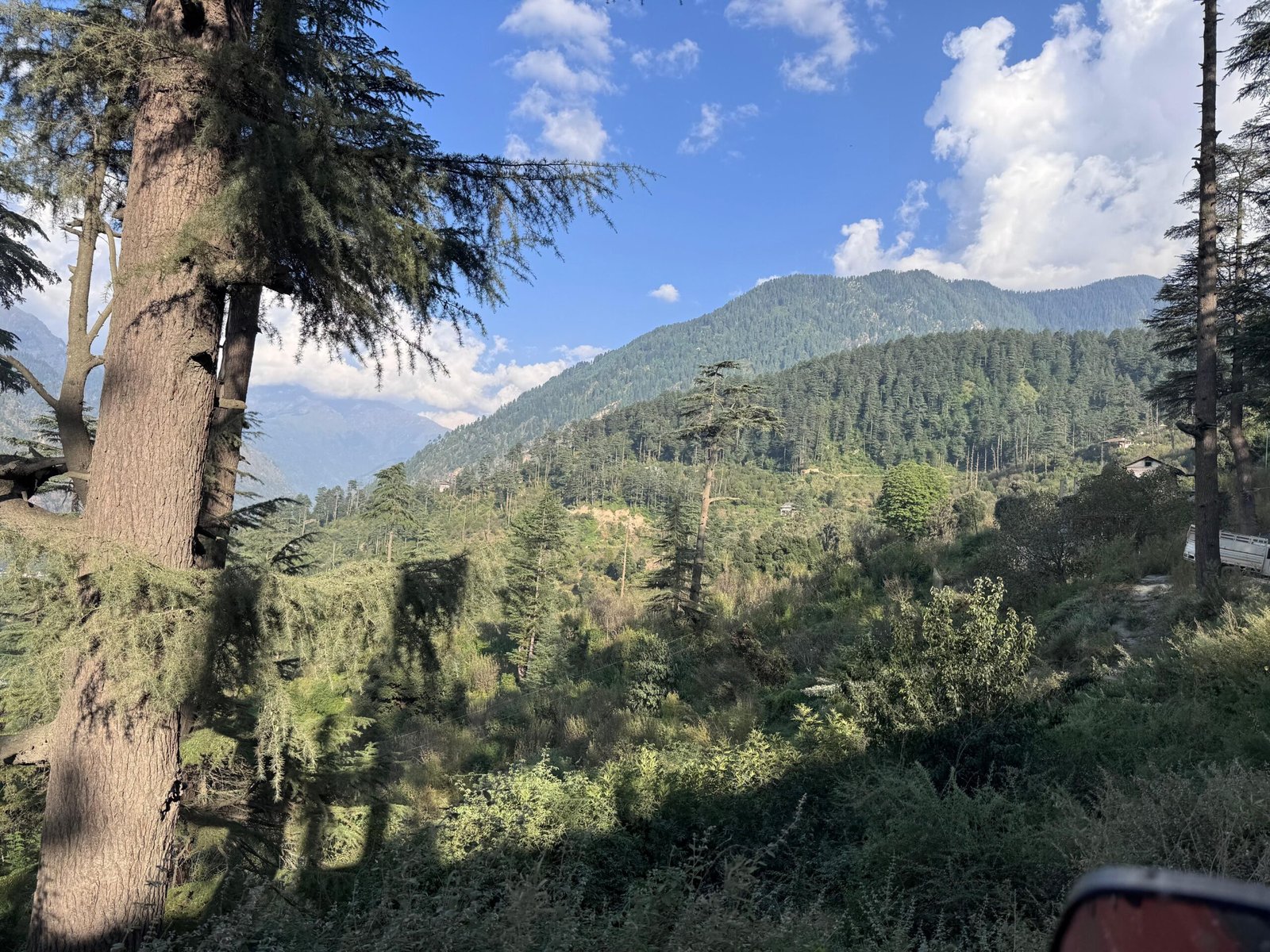 WhatsApp Image 2025-09-30 at 3.33.25 PM (1)