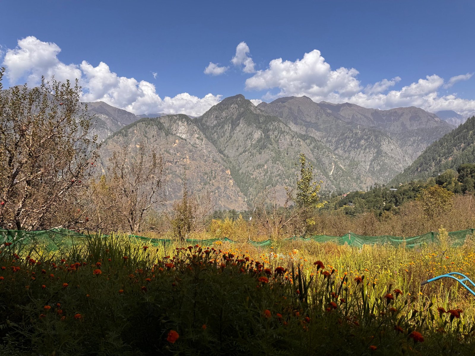 WhatsApp Image 2025-09-30 at 3.33.31 PM (1)