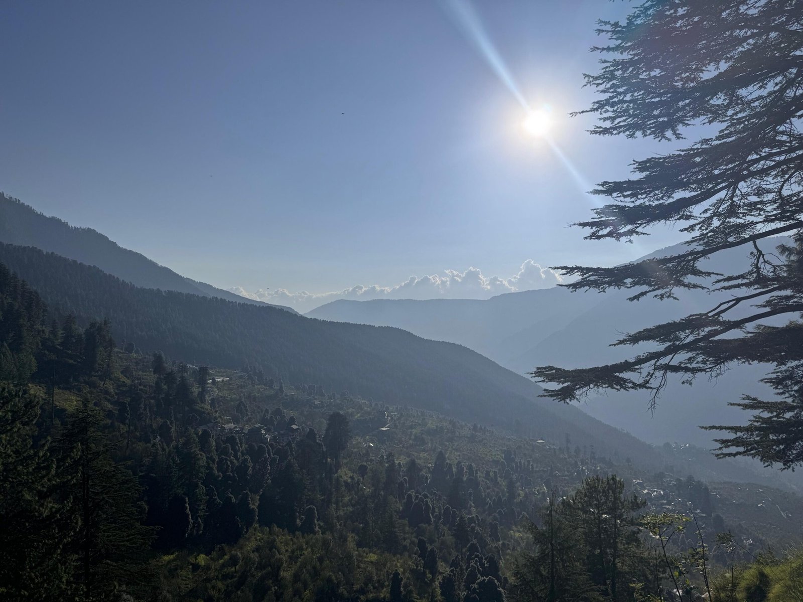 WhatsApp Image 2025-09-30 at 3.33.33 PM