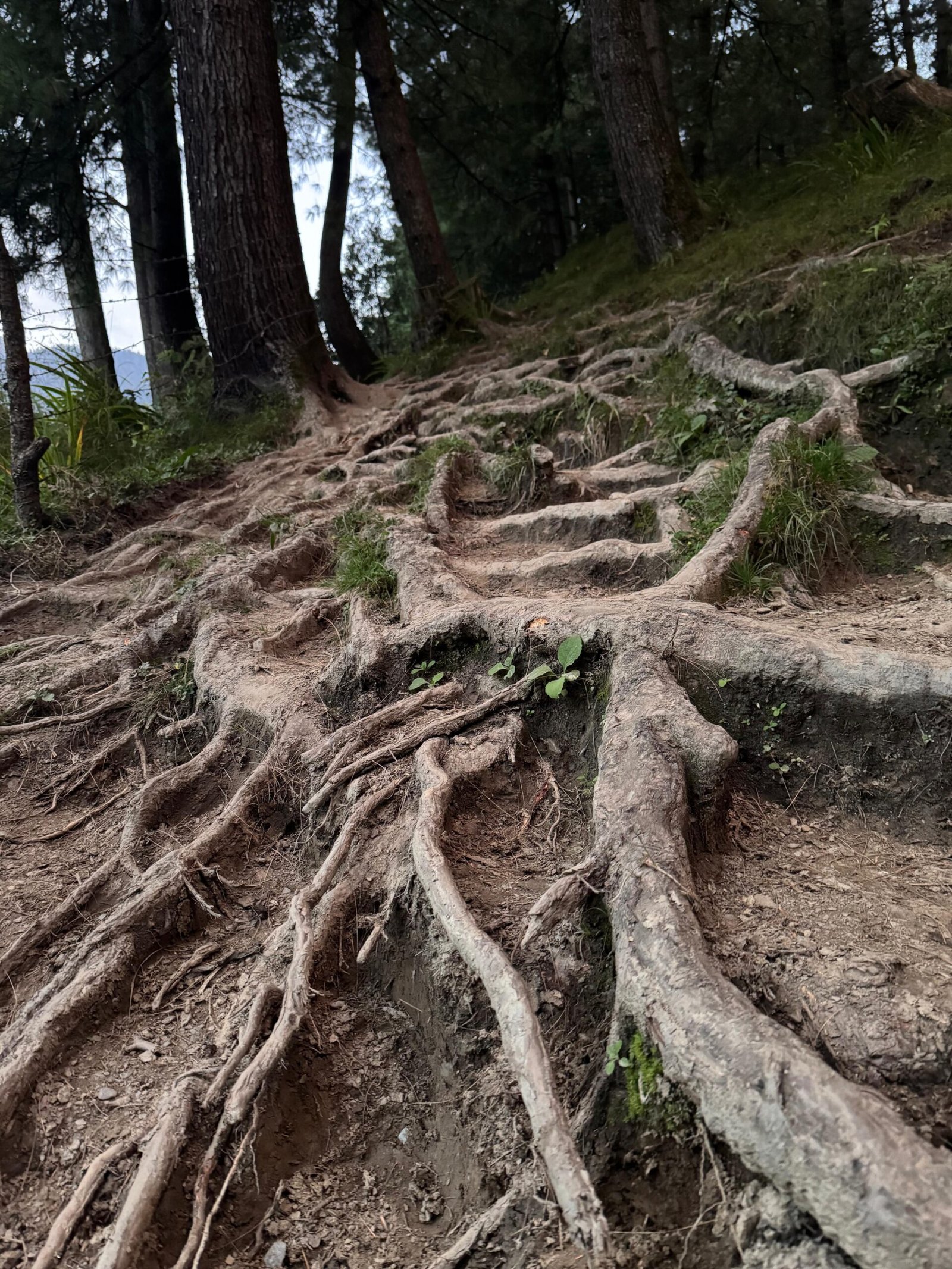 WhatsApp Image 2025-09-30 at 3.33.35 PM