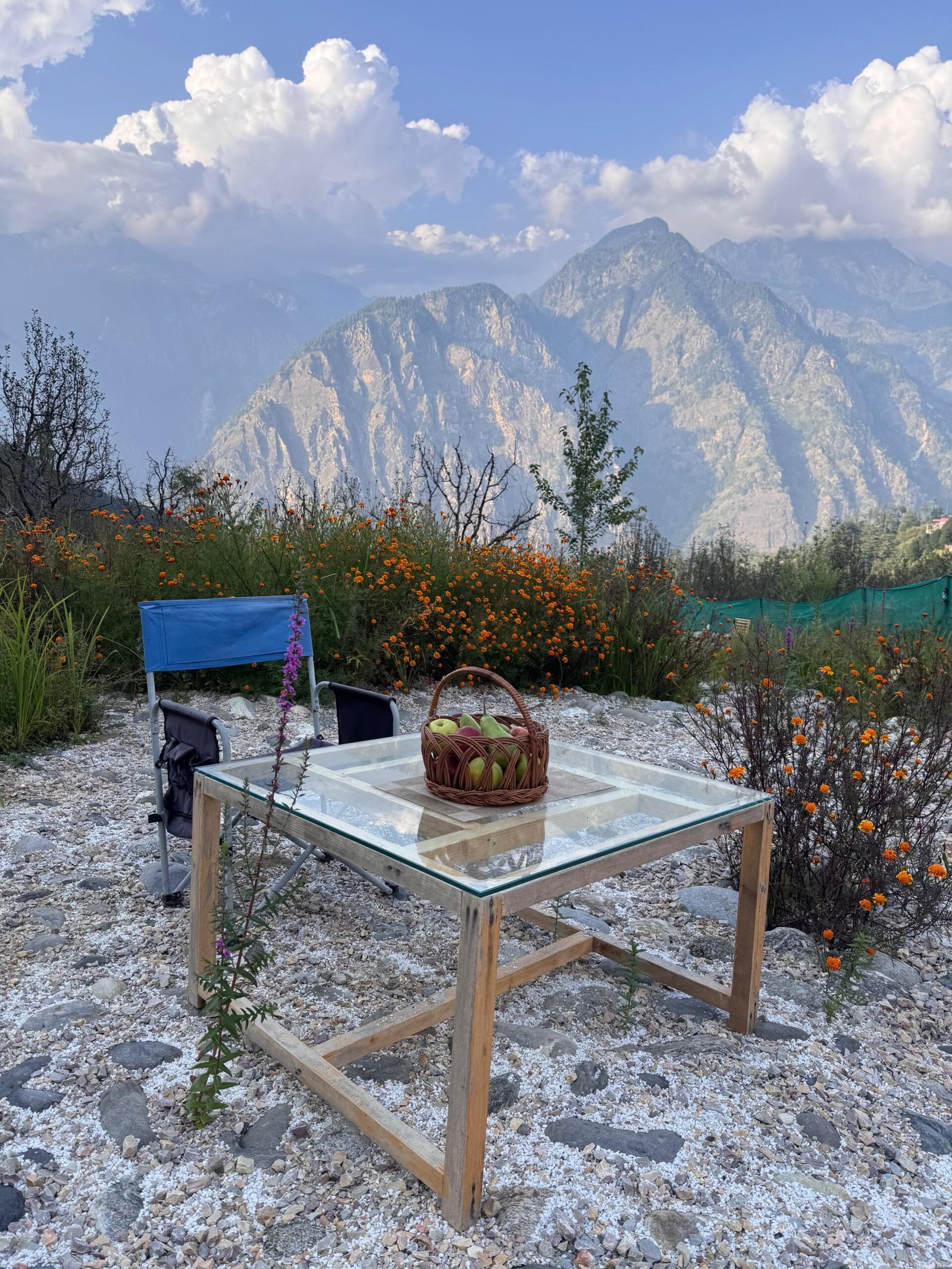 WhatsApp Image 2025-09-30 at 3.33.41 PM