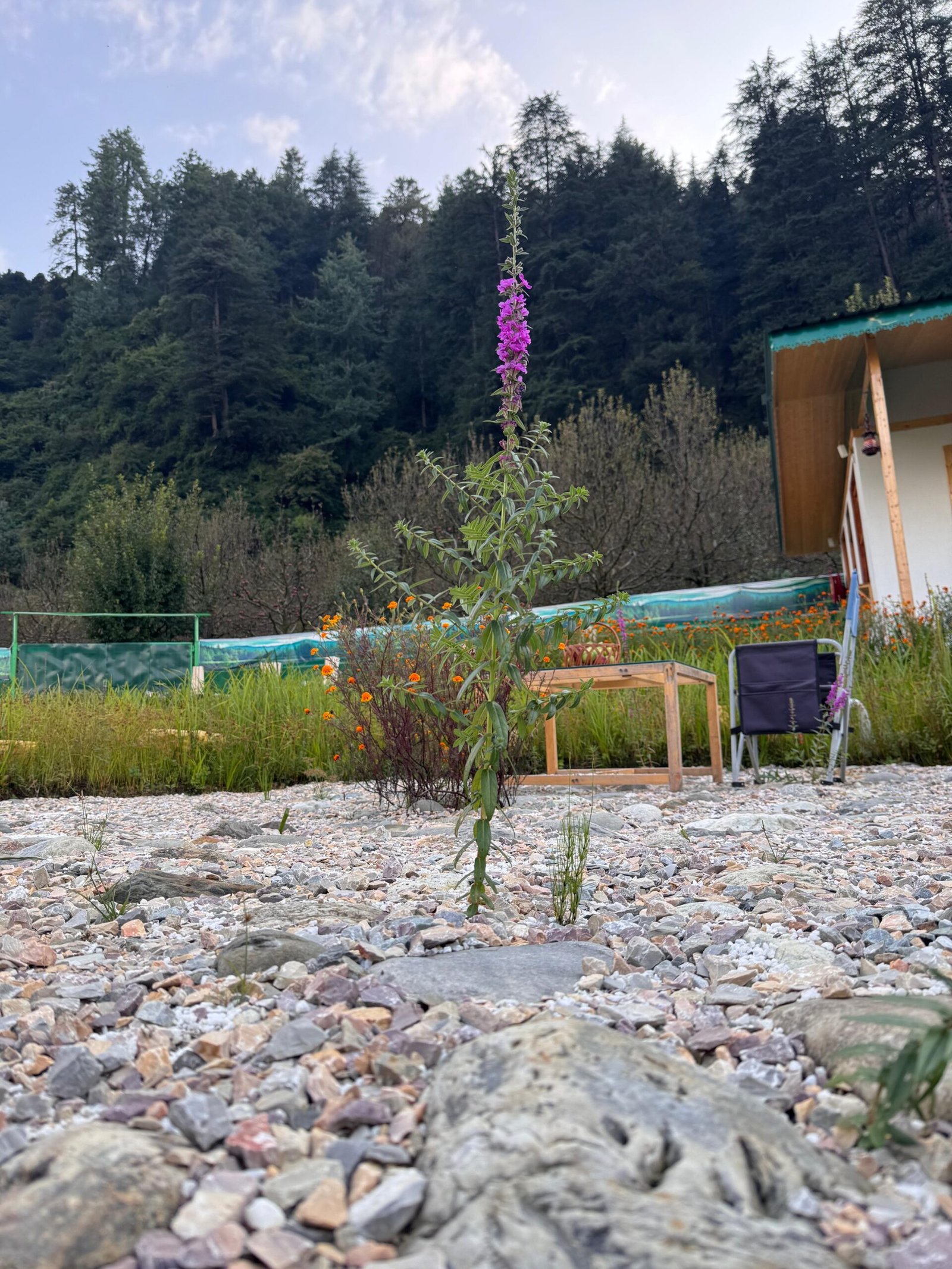 WhatsApp Image 2025-09-30 at 3.33.43 PM