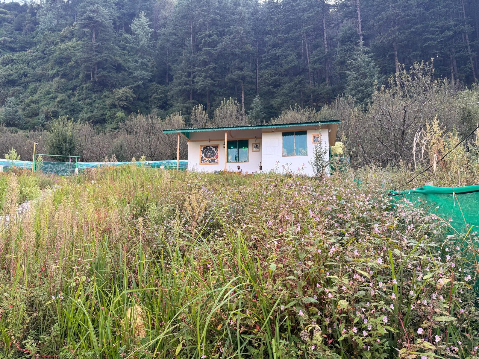 WhatsApp Image 2025-09-30 at 3.33.45 PM