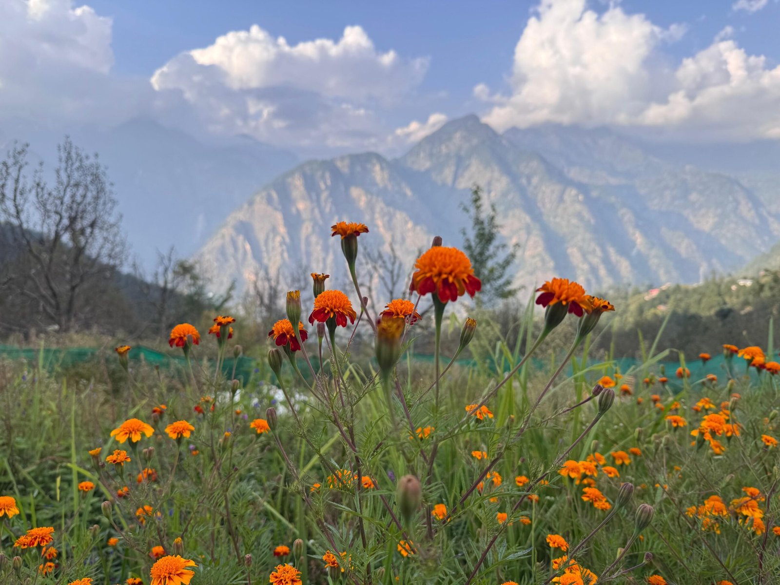 WhatsApp Image 2025-09-30 at 3.33.46 PM