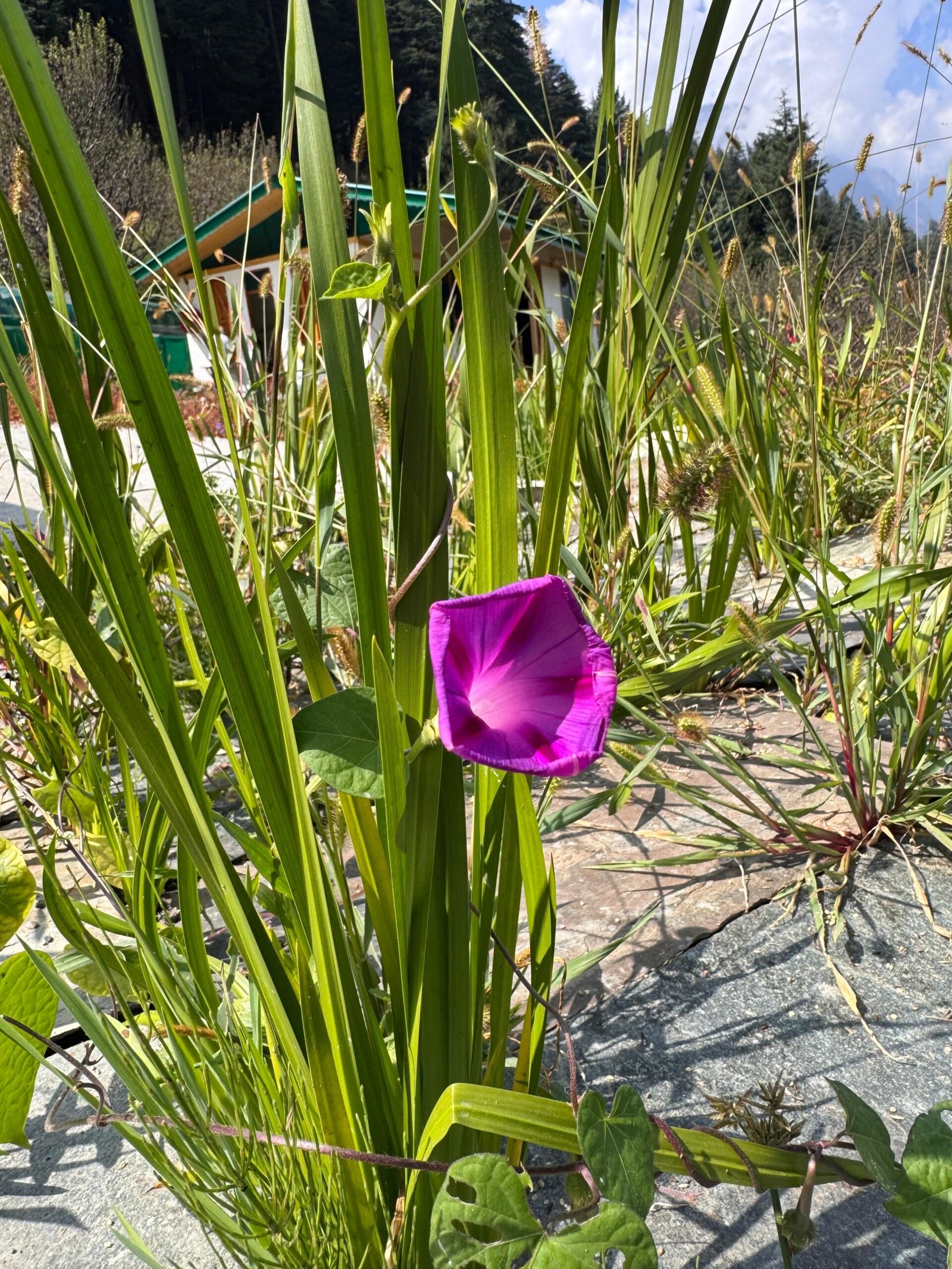 WhatsApp Image 2025-09-30 at 3.33.51 PM (1)