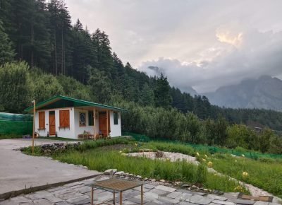 38a60478-0030-401e-8a01-b9f801d907ca