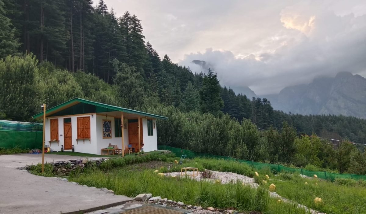 38a60478-0030-401e-8a01-b9f801d907ca