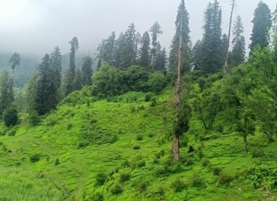 61baa0df-fbba-4e75-afc2-eb22d5a53a2a