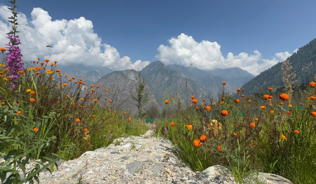 WhatsApp Image 2025-09-30 at 3.33.20 PM