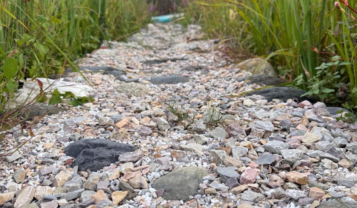 WhatsApp Image 2025-09-30 at 3.33.22 PM