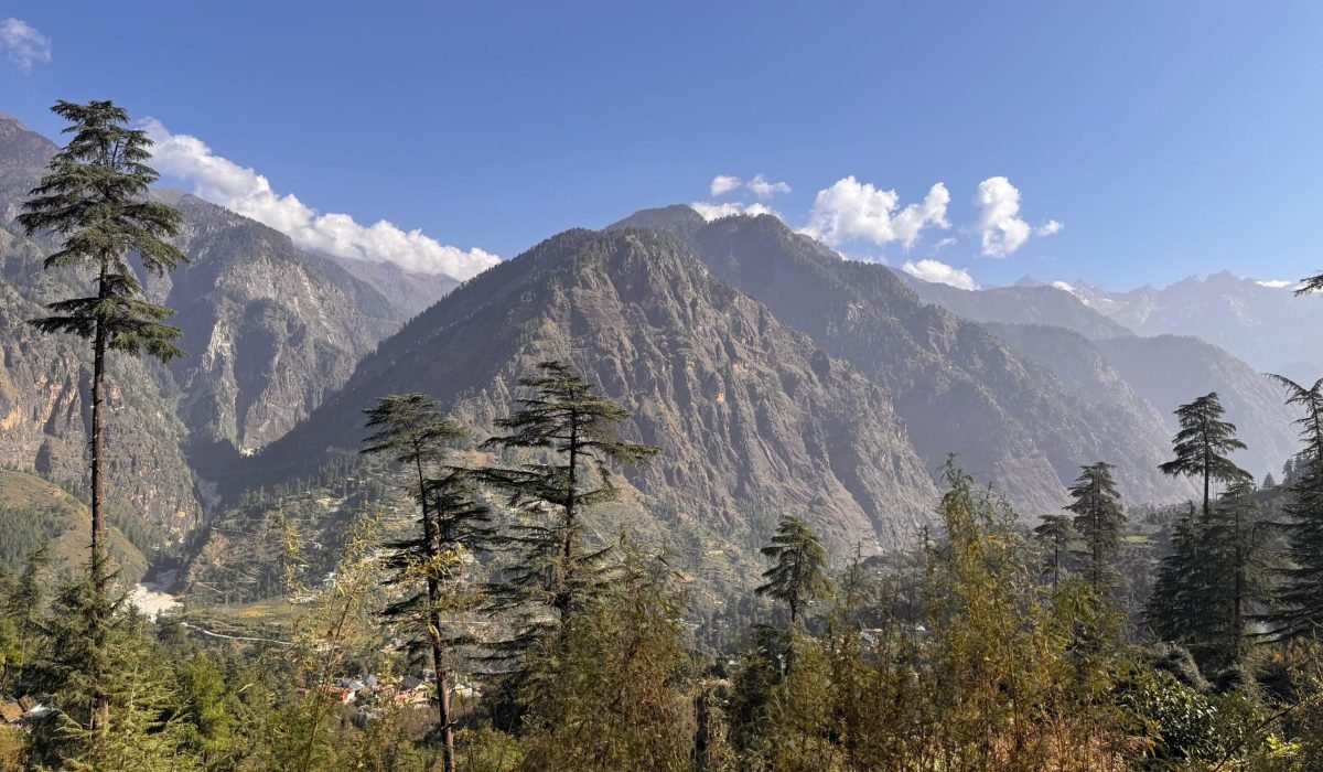 WhatsApp Image 2025-09-30 at 3.33.29 PM (1)