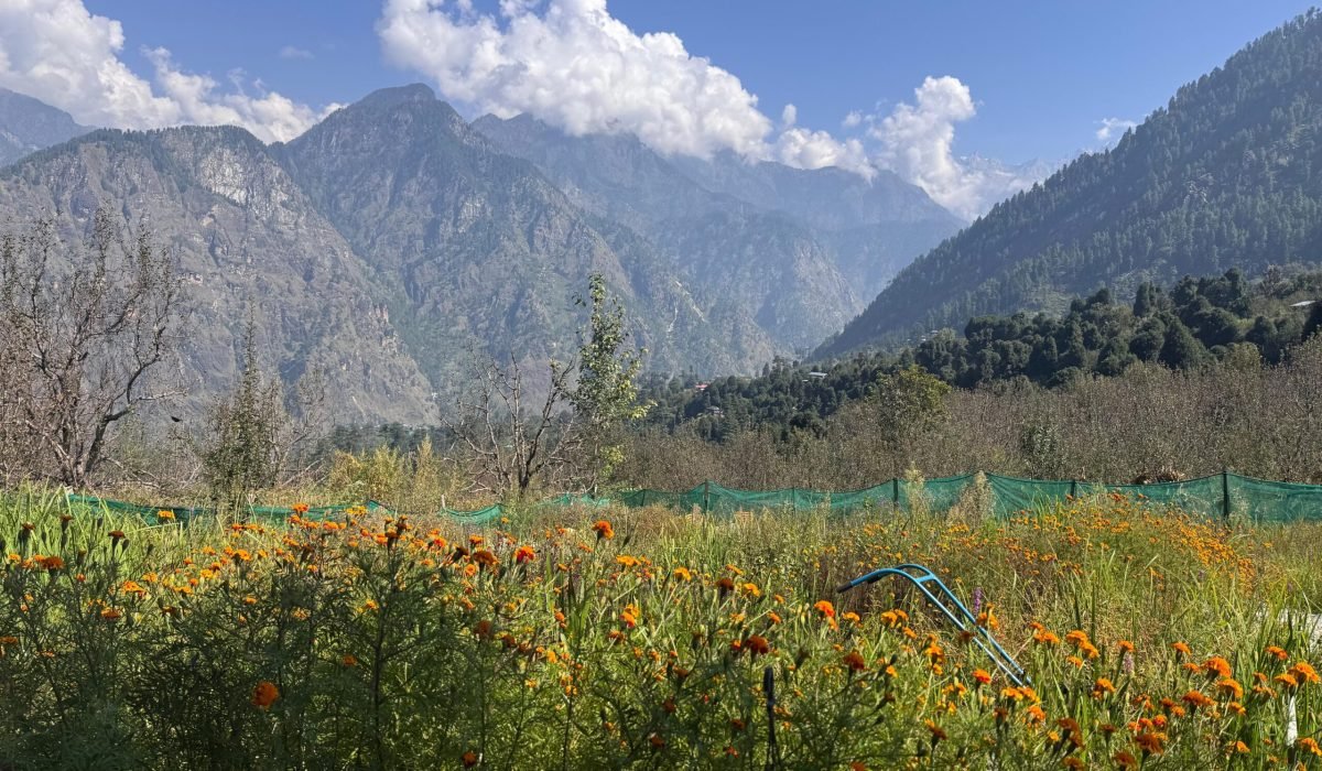 WhatsApp Image 2025-09-30 at 3.33.36 PM