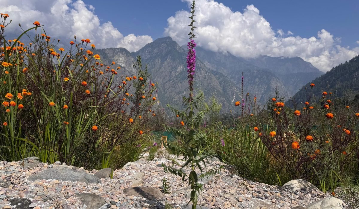 WhatsApp Image 2025-09-30 at 3.33.37 PM (3)