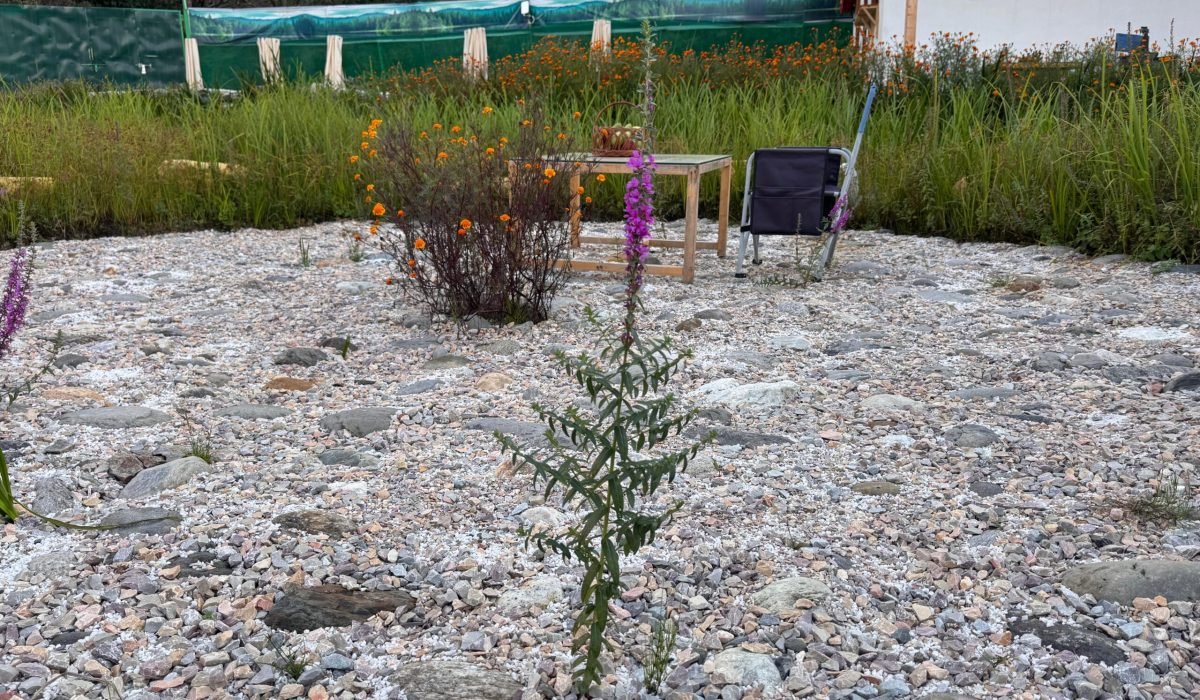 WhatsApp Image 2025-09-30 at 3.33.42 PM (2)