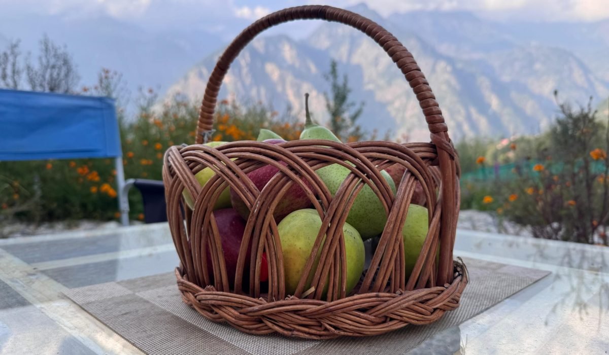 WhatsApp Image 2025-09-30 at 3.33.42 PM