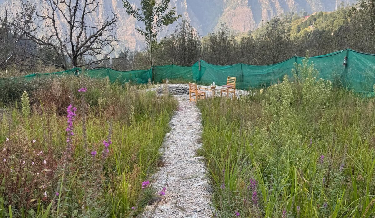 WhatsApp Image 2025-09-30 at 3.33.43 PM (1)