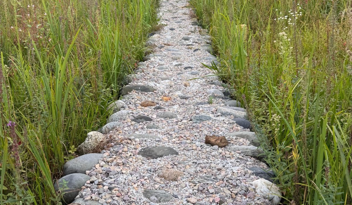 WhatsApp Image 2025-09-30 at 3.33.45 PM (2)