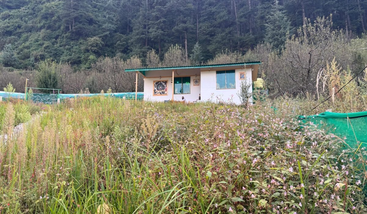 WhatsApp Image 2025-09-30 at 3.33.45 PM