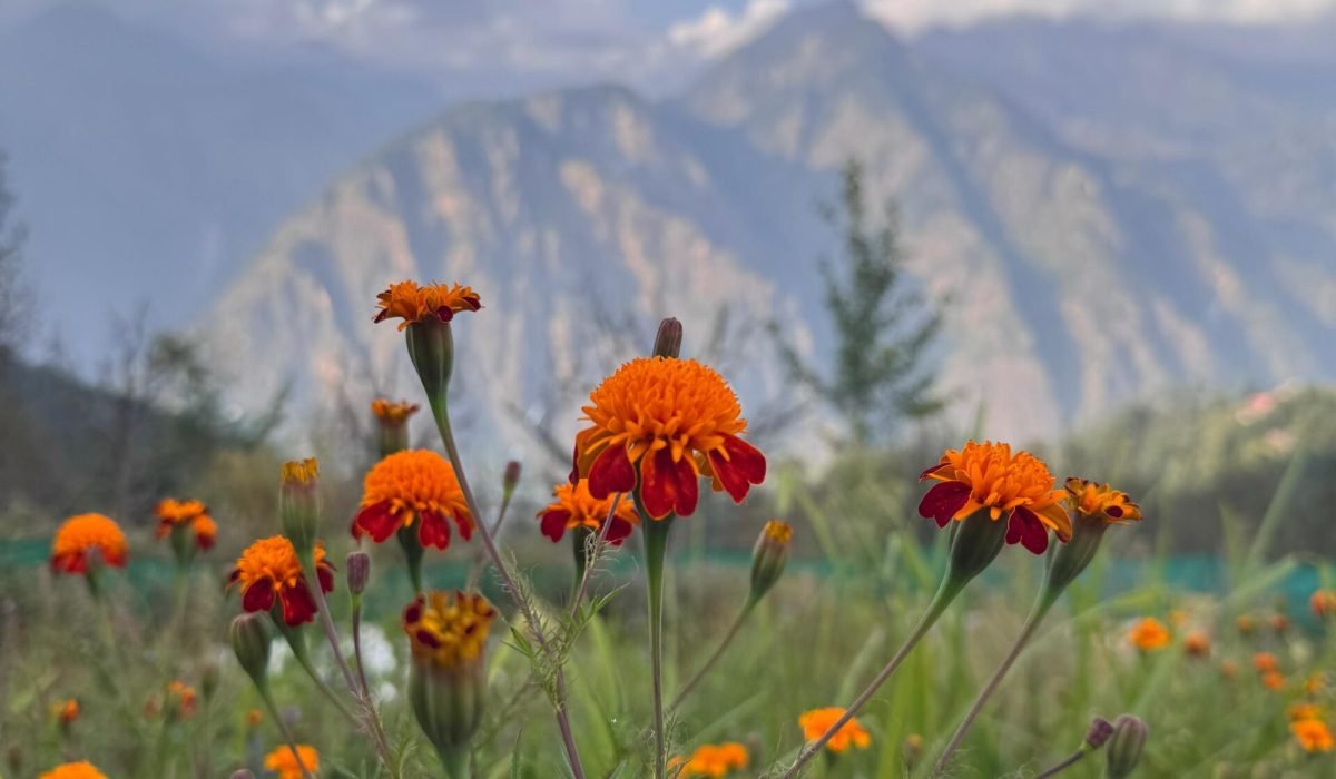 WhatsApp Image 2025-09-30 at 3.33.46 PM (1)