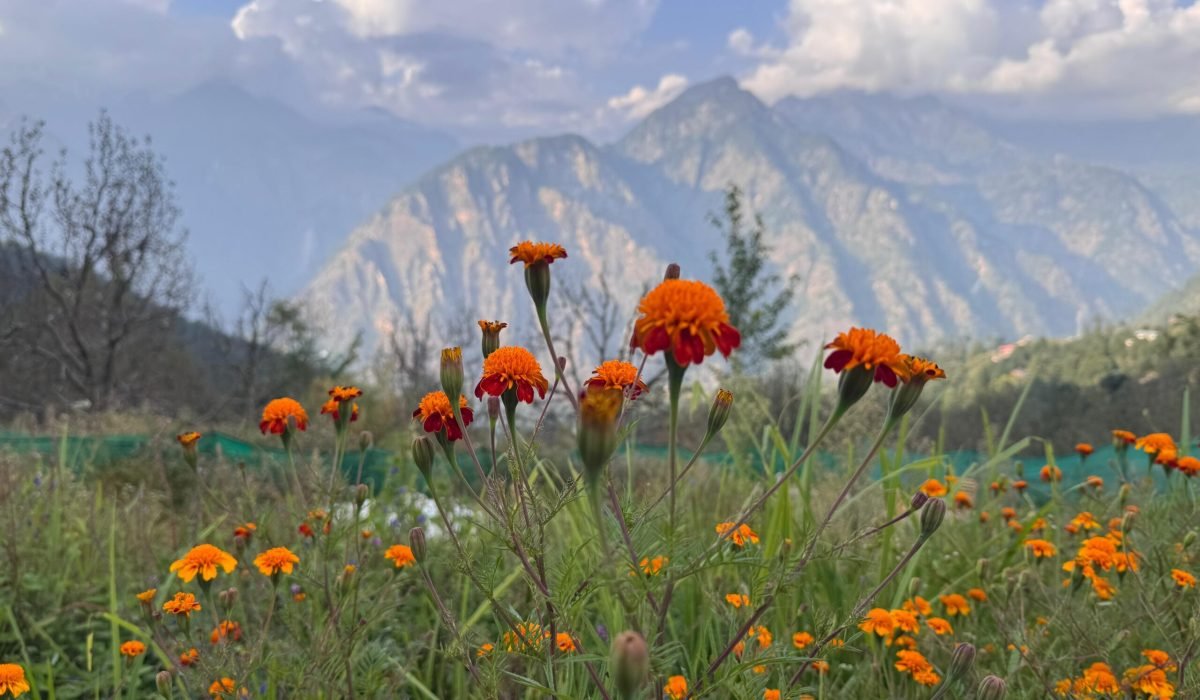 WhatsApp Image 2025-09-30 at 3.33.46 PM