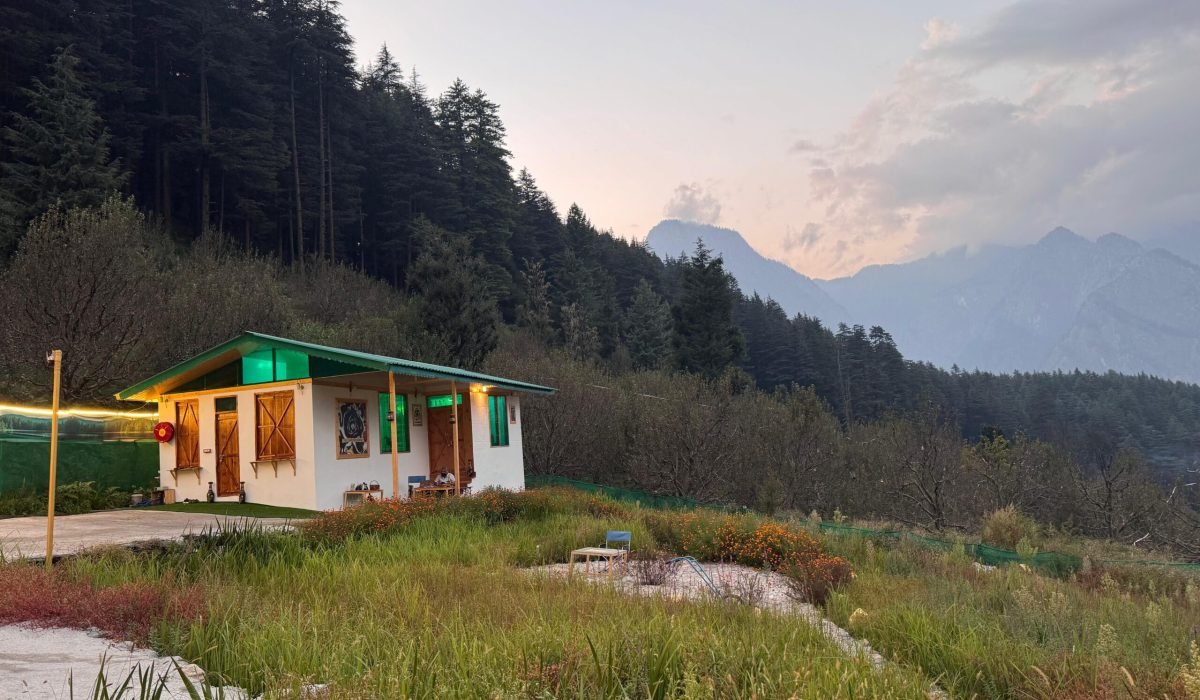 WhatsApp Image 2025-09-30 at 3.33.47 PM (1)