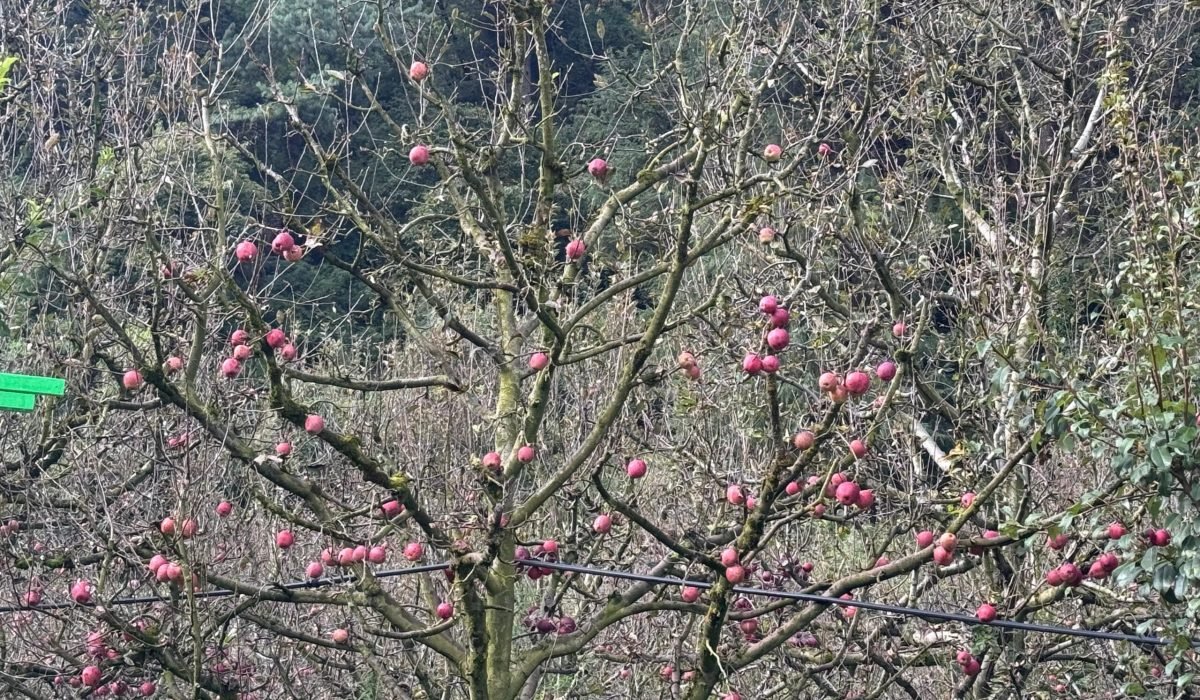 WhatsApp Image 2025-09-30 at 3.33.50 PM (2)