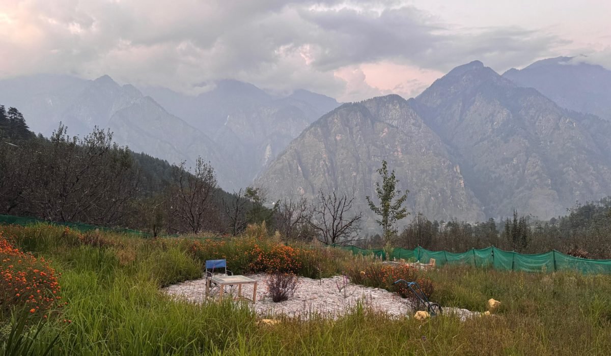 WhatsApp Image 2025-09-30 at 3.33.50 PM