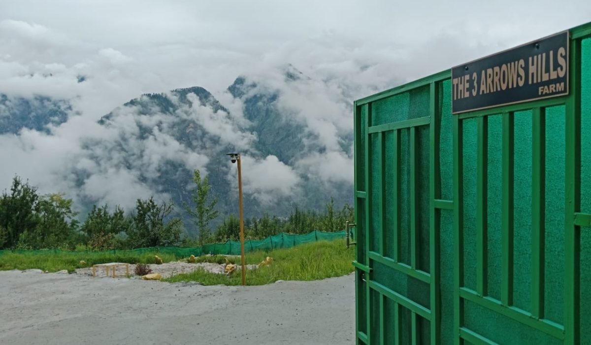 b69fabcd-542d-4cd7-9f05-7edae504e703